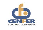 Logo CENFER